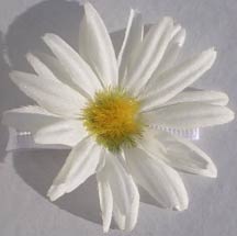 Daisy Barrettes Daisy Barrettes